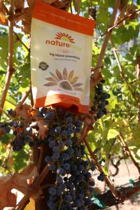 naturebox-napa-vineyard (1)