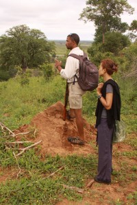 Hunting for ants & other grubs in Botswana (armed with a gun in case of larger predators)