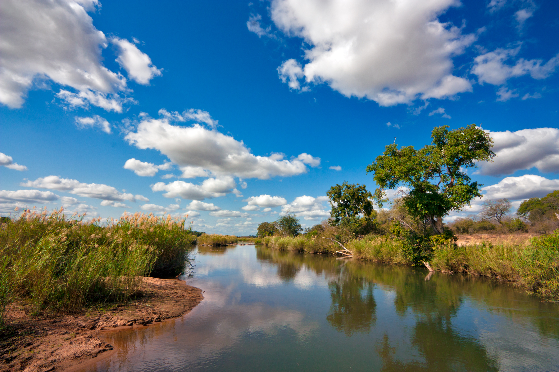 Exploring South Africa’s Kruger National Park - Dave's Travel Corner