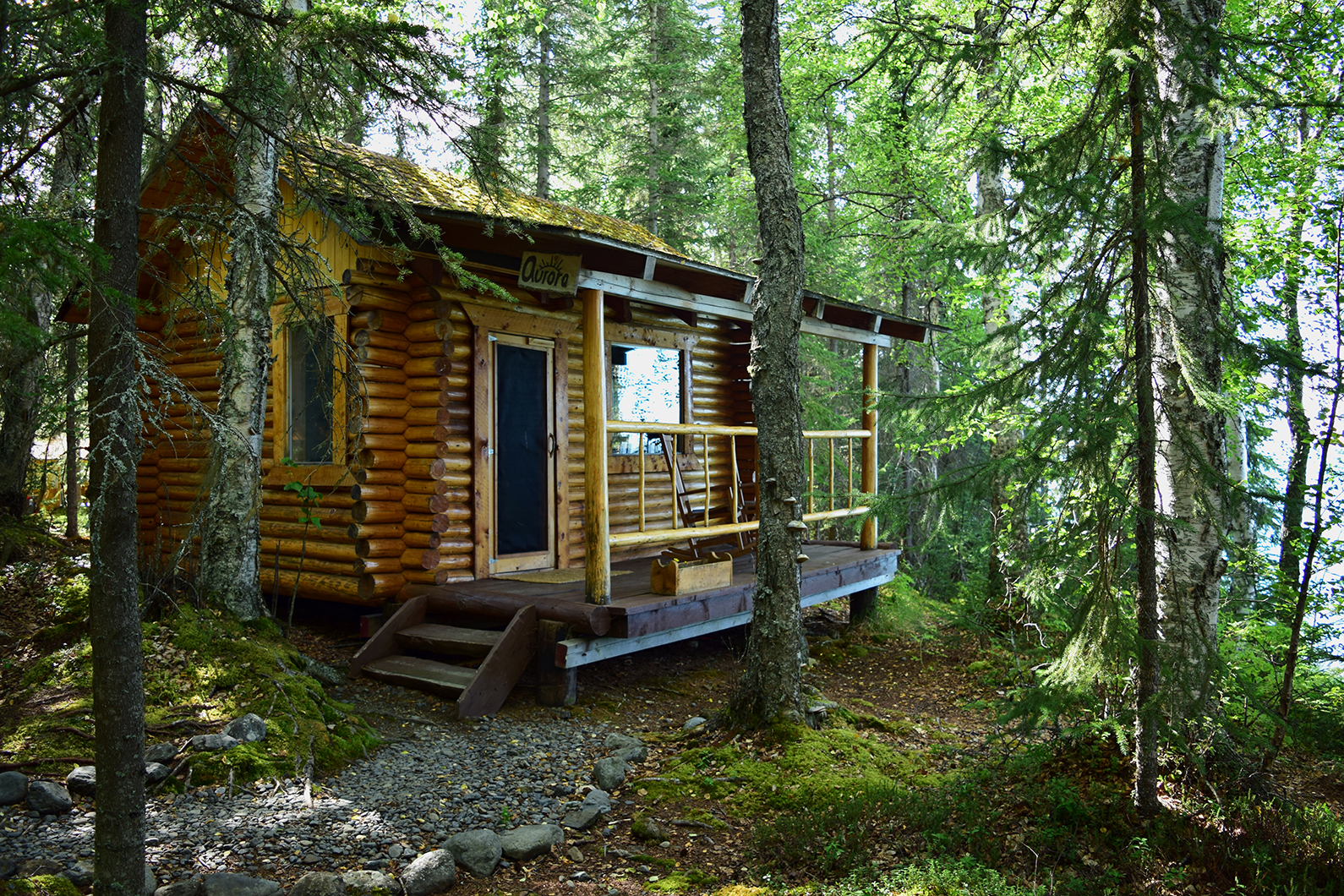 Going Green: Alaska Ecotourism - Dave's Travel Corner