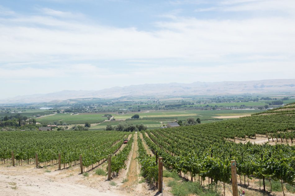 Are you looking for your next adventure? Try Idaho Wine Country