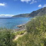 Photo of Ka'ena Point State Park in Oahu, Hawaii USA