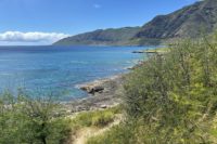 Photo of Ka'ena Point State Park in Oahu, Hawaii USA