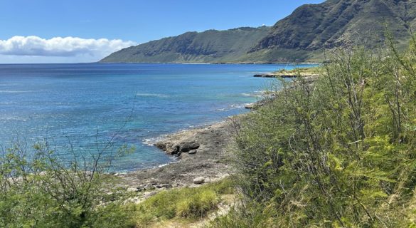 Photo of Ka'ena Point State Park in Oahu, Hawaii USA